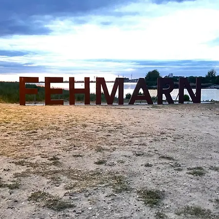 Kleine Seemoewe Fehmarn