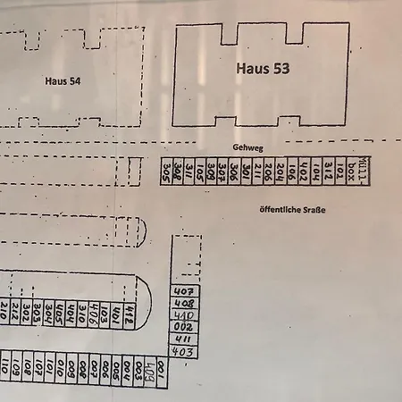 Kleine Seemoewe * Fehmarn