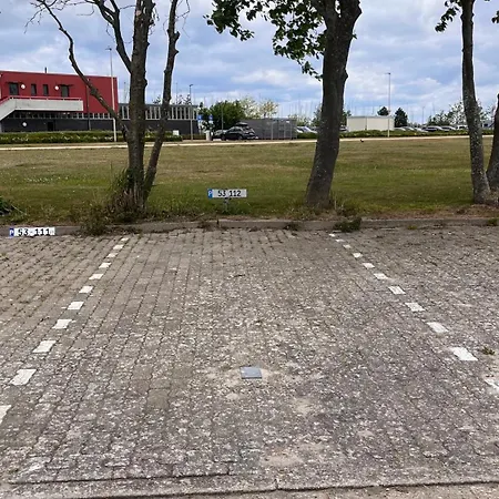 Kleine Seemoewe Fehmarn